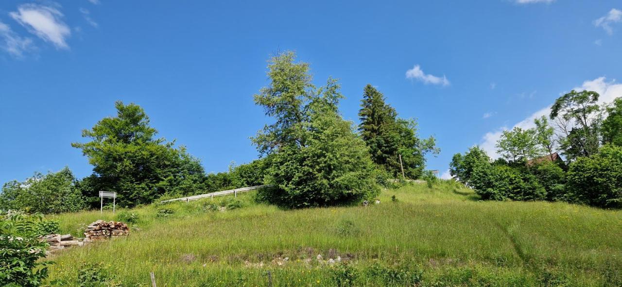 Pensiunea Amalia Gîrda de Sus Exterior foto